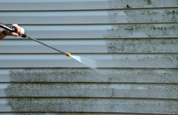 Best Building Exterior Washing  in Skagway, AK