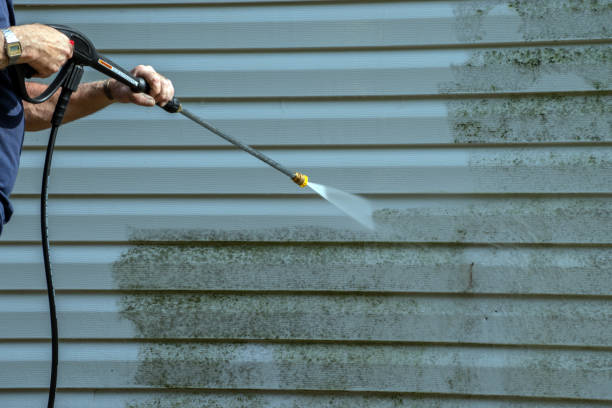 Best Patio and Deck Pressure Washing  in Skagway, AK